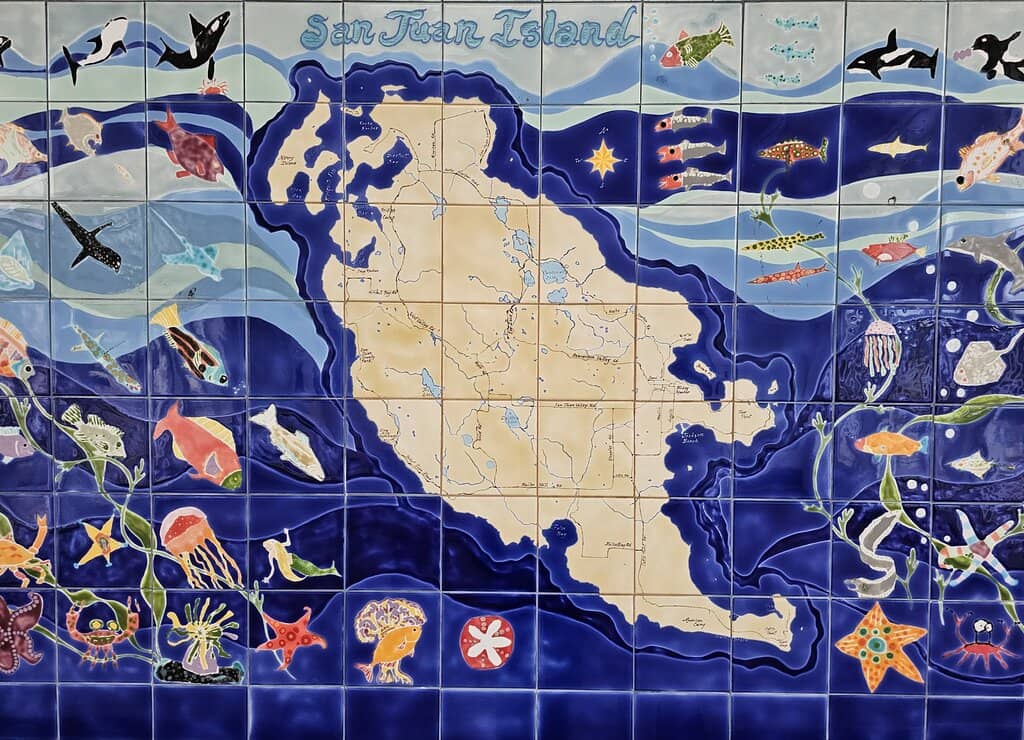 Whale Skeletons and Models