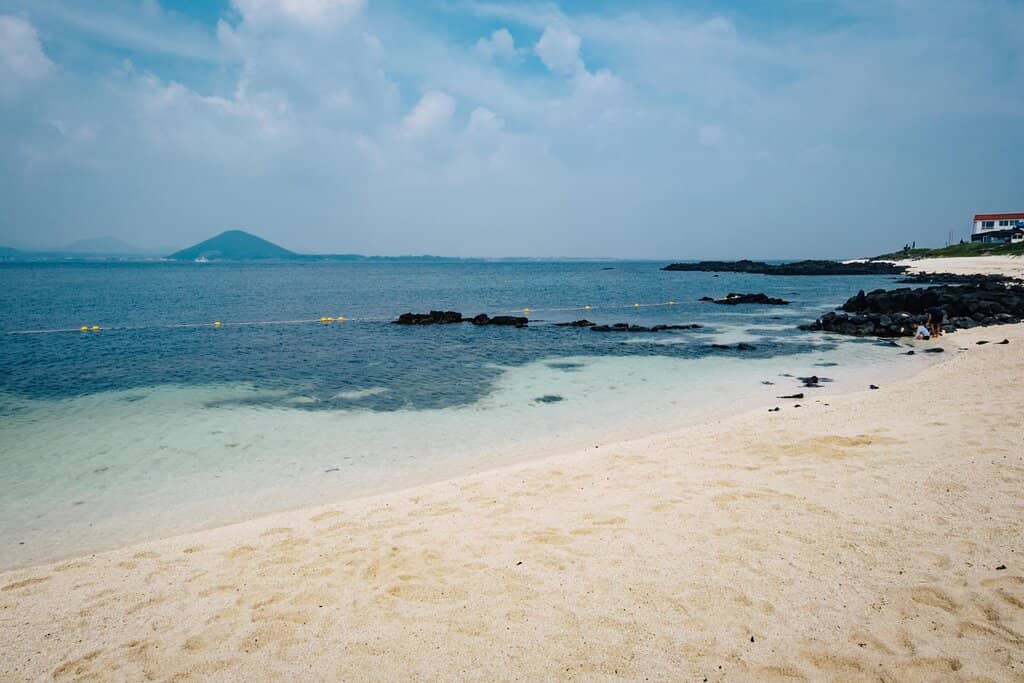 Sparkling Coral Sand