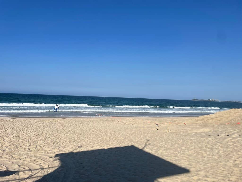 Cotton Tree & Maroochy River