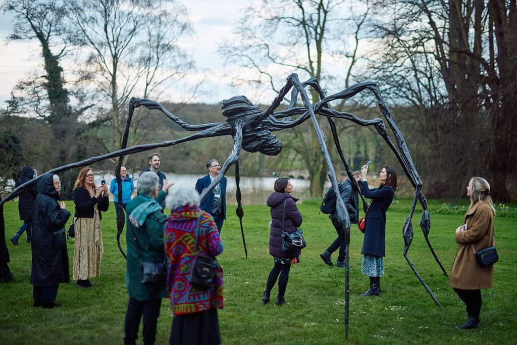 Interactive Art Installations
