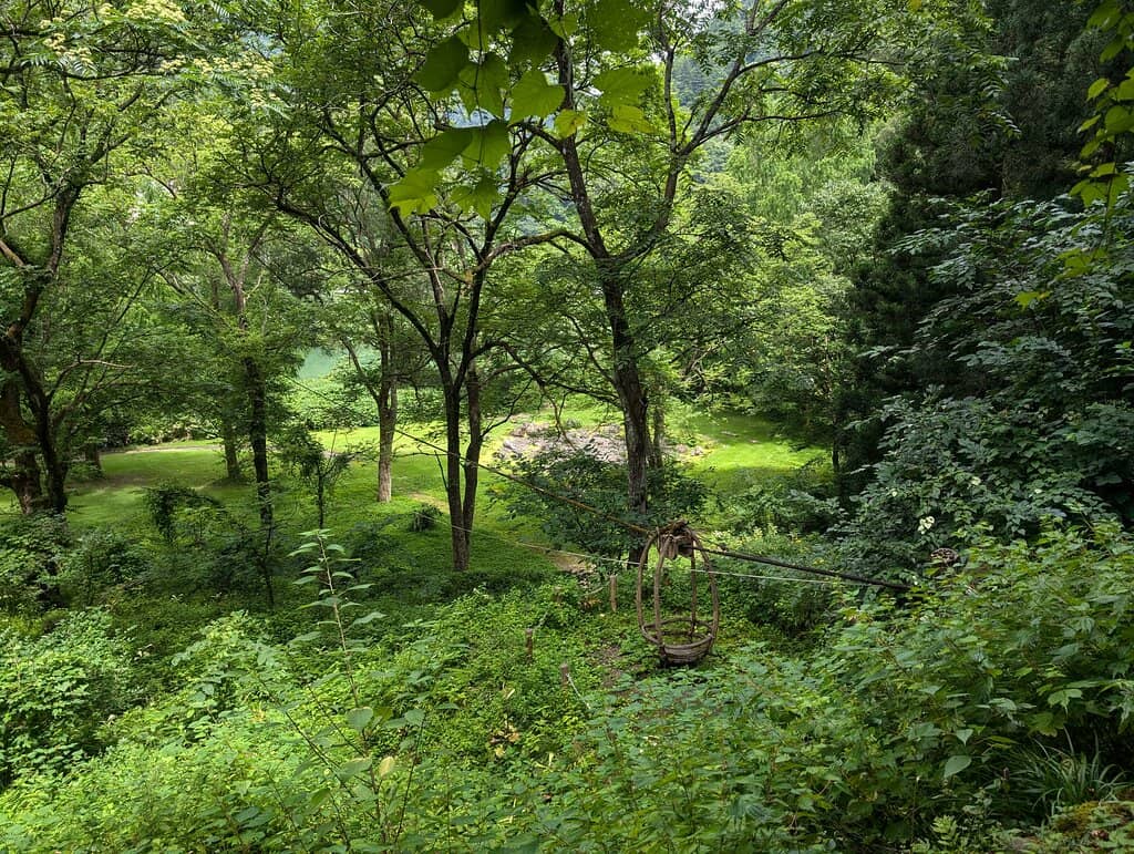 Gassho-Style Farmhouses