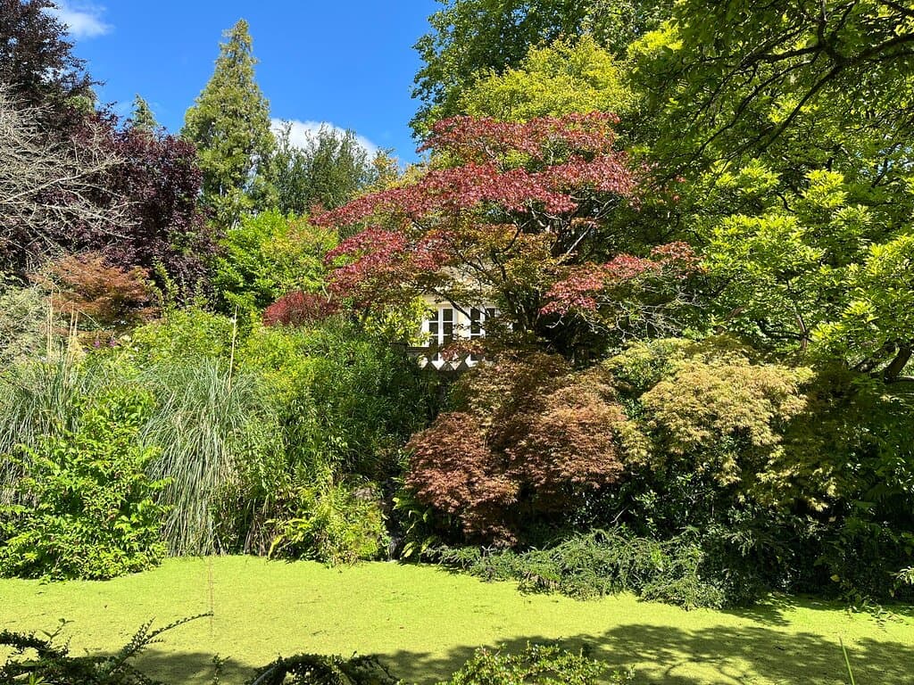 Bath Botanic Gardens