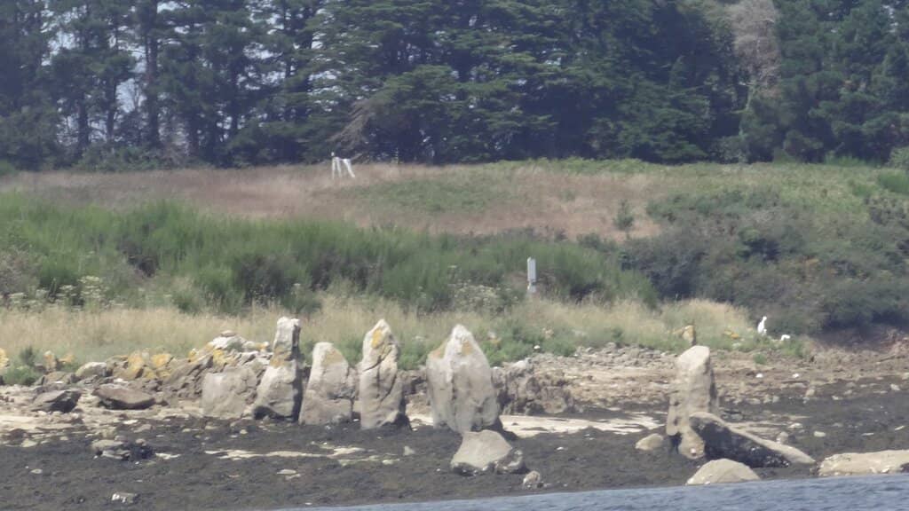The Neolithic Cairn
