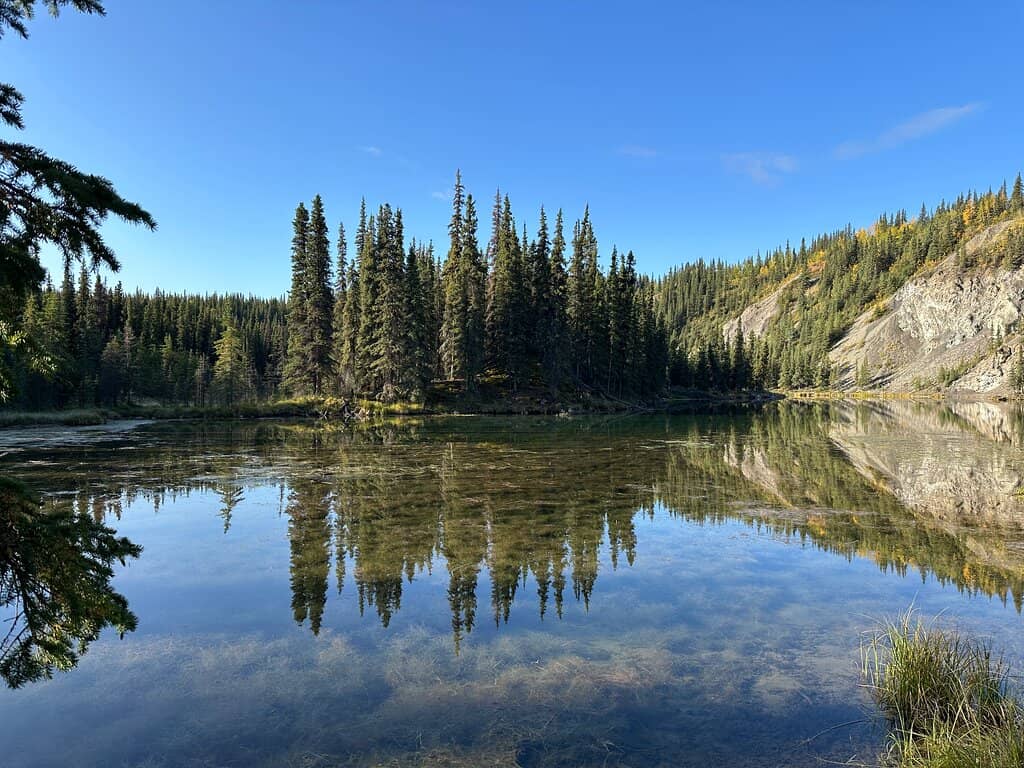 Scenic Loop Trail