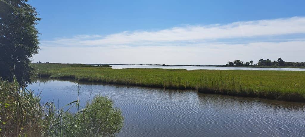 Boardwalk Trail
