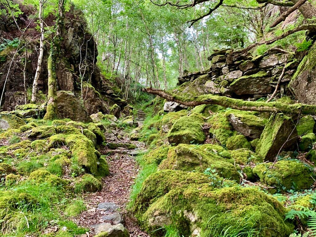 Dinas Emrys Mountain