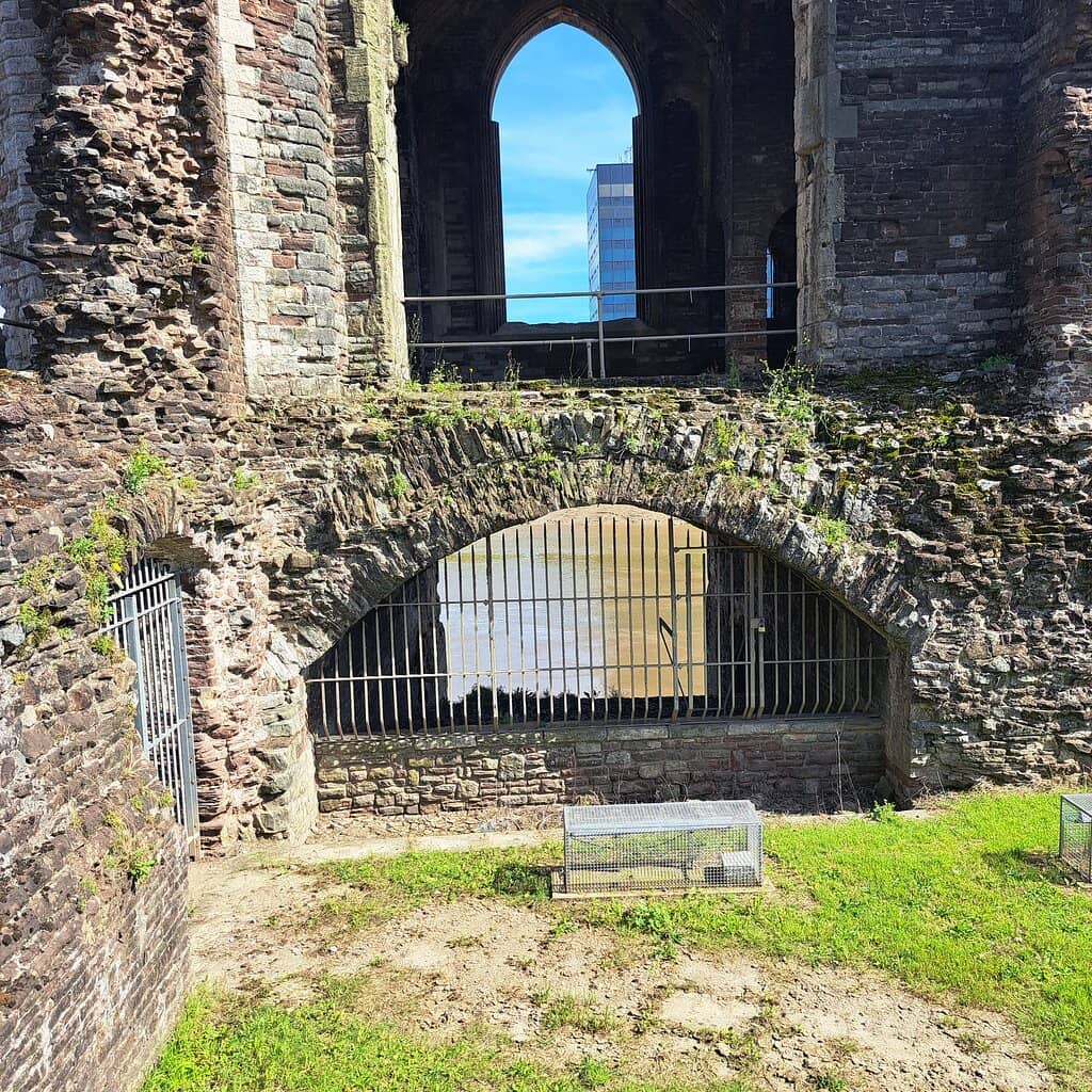 Architectural Remnants