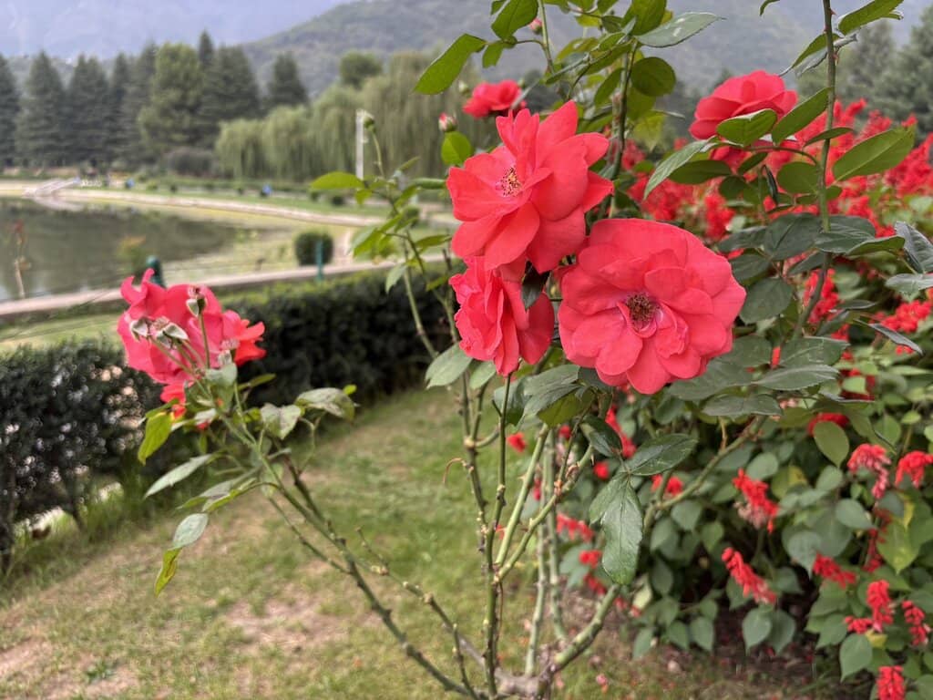 Peaceful Upper Sections