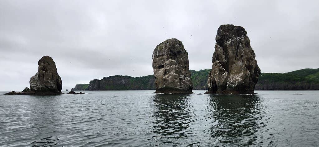 Yellow Trail Experience