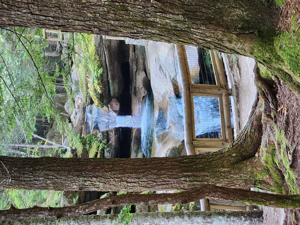 Vertical photo
