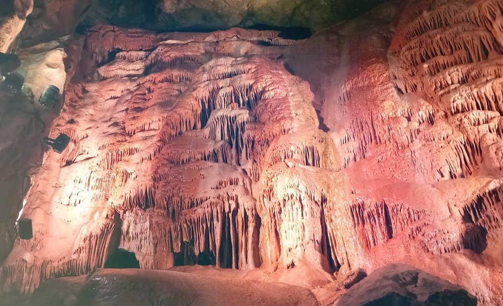 Cheddar Man Exhibit