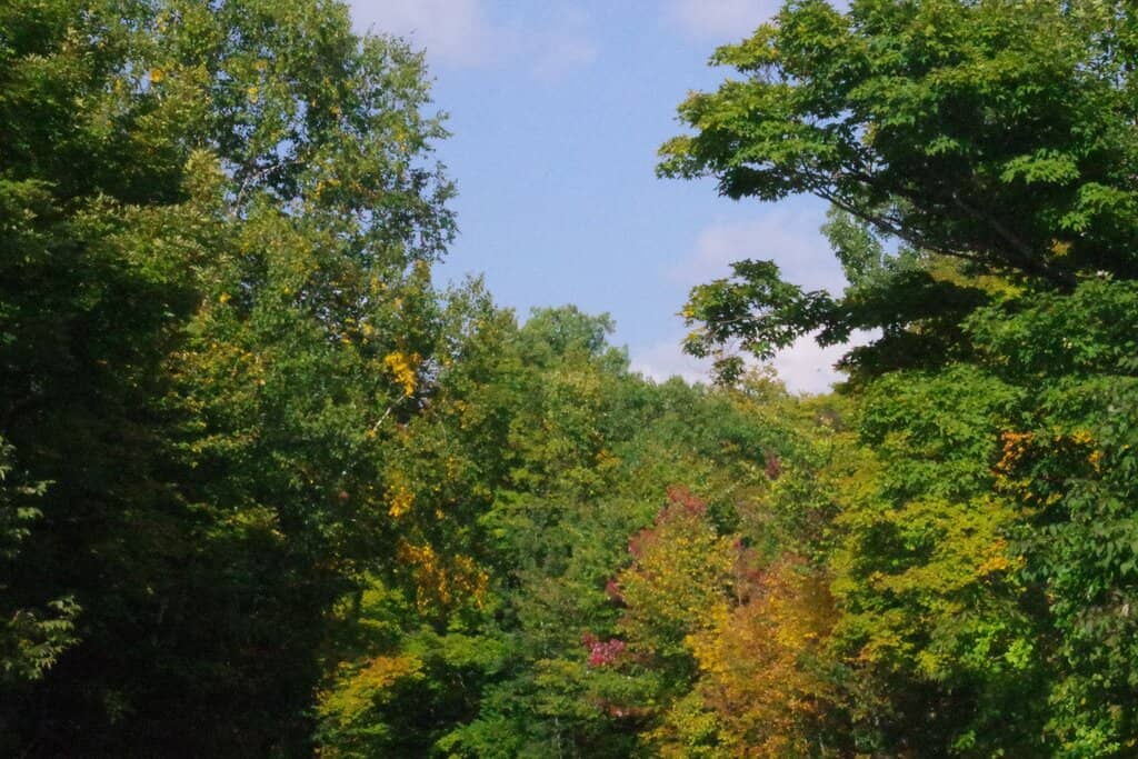Vertical photo