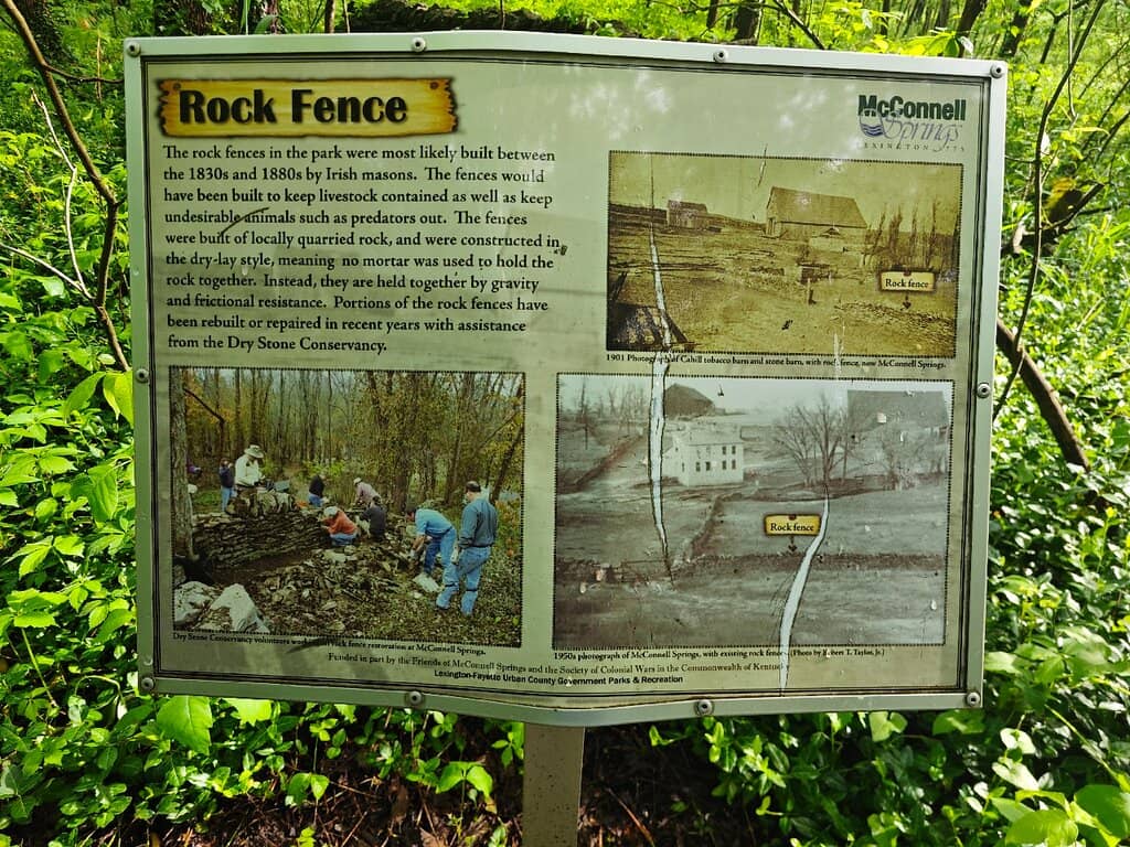 The Blue Hole