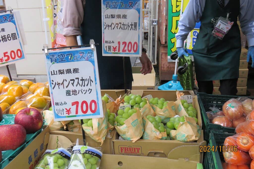 Hidden Temples and Shrines