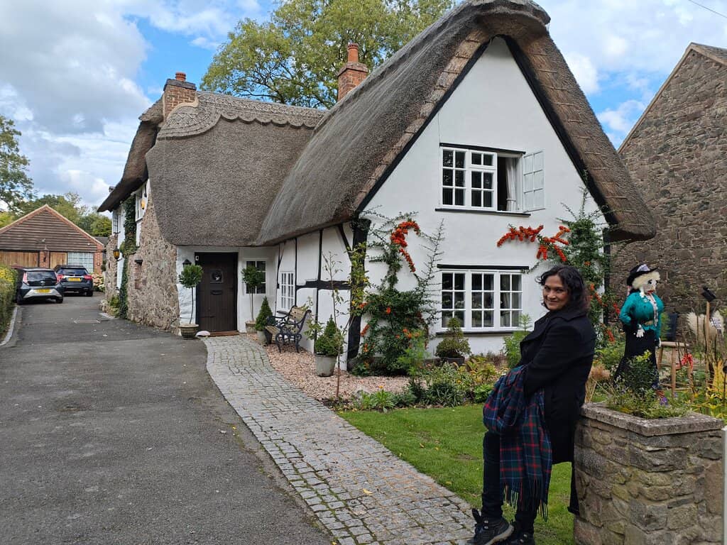 Street Food Delights