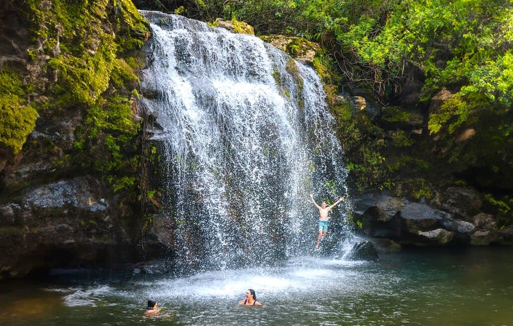 Explore the Kohala countryside with us to find (& swim) under hidden waterfalls!