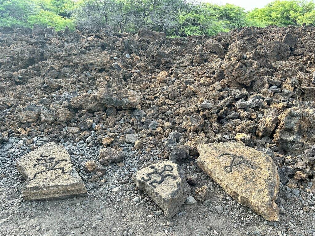 Ancient Petroglyphs