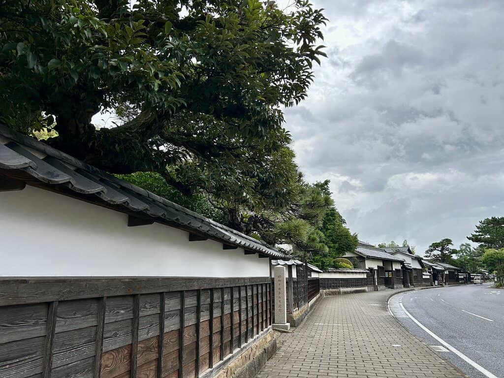 Koizumi Setsuko's Contributions