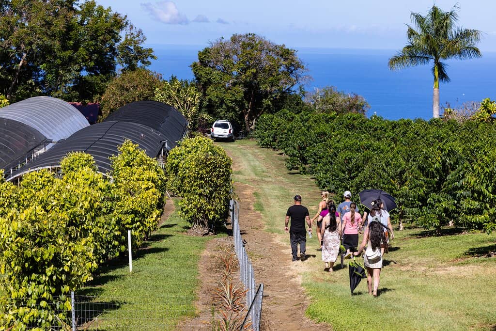 Free Guided Farm Tour