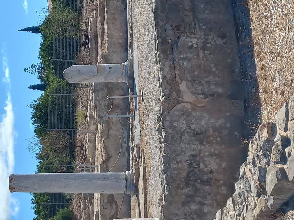 Ancient Imperial Busts