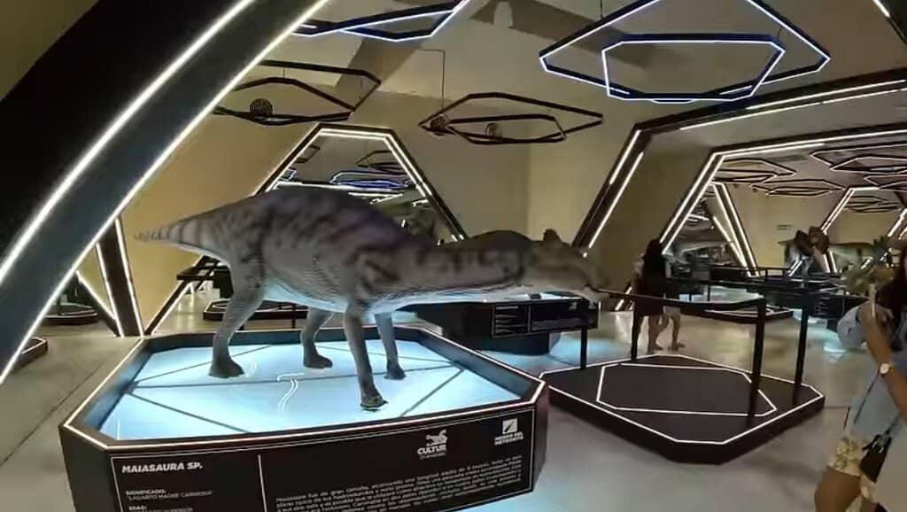 Interactive Displays