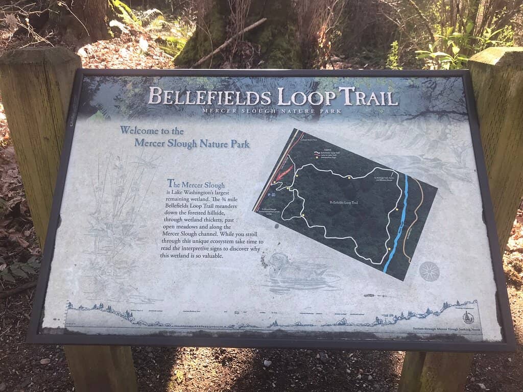 Mercer Slough Blueberry Farm