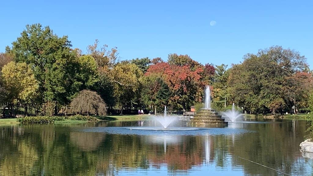 Summer Concert Series