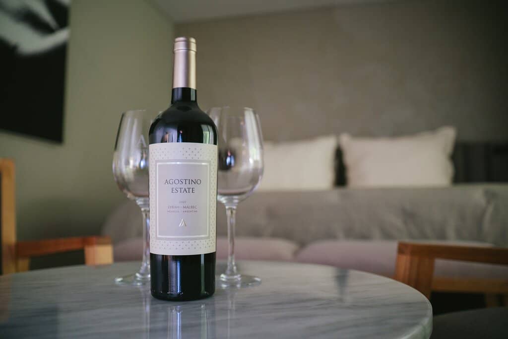 Vineyard & Andes Views