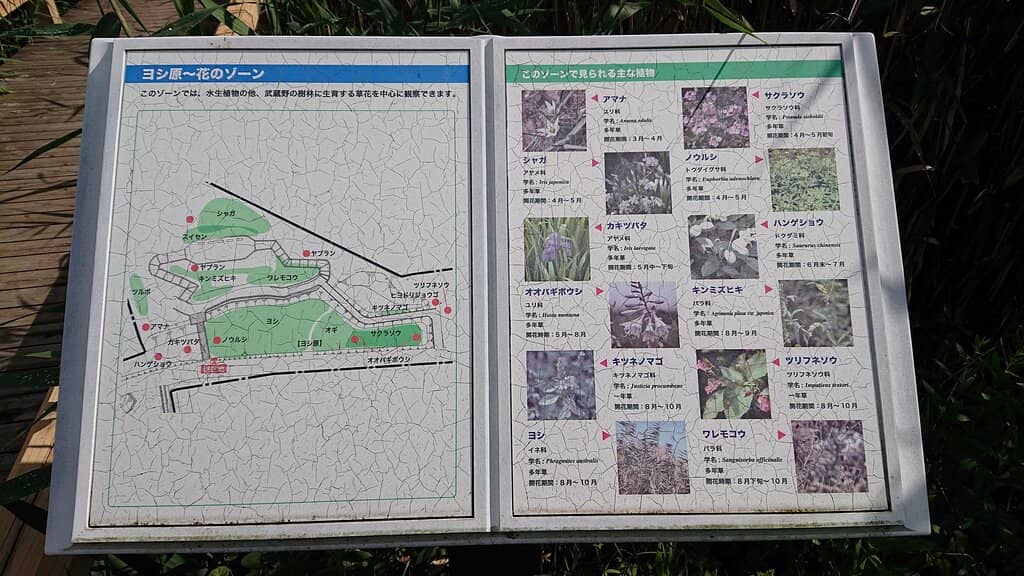 Expansive Greenhouse