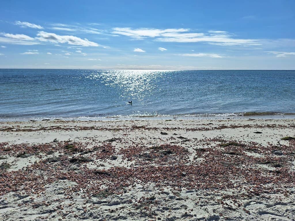 Pleasant Water Temperatures