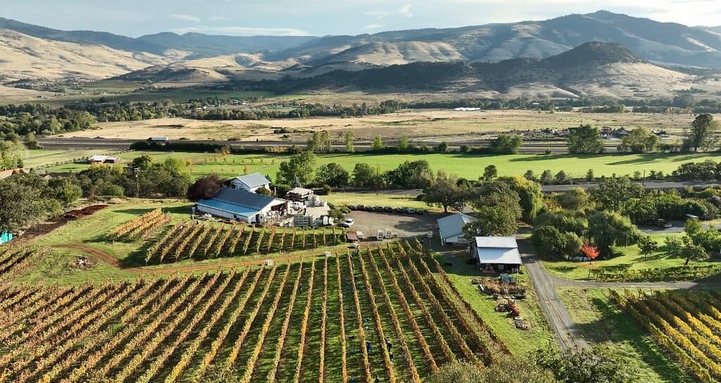 Weisinger Family Winery