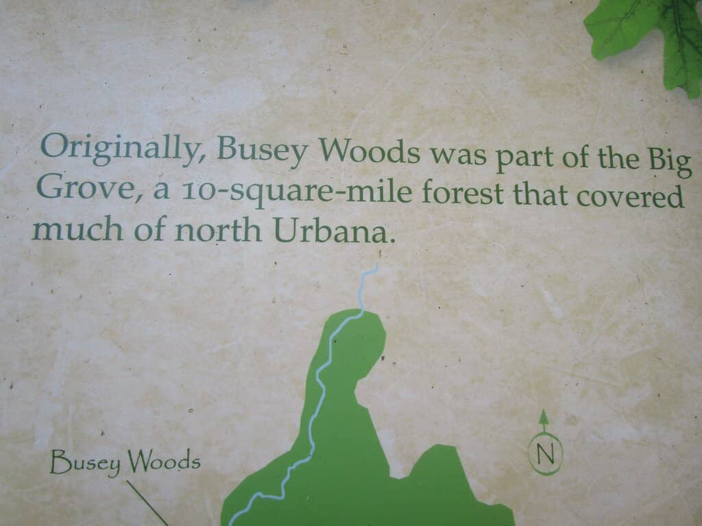 Seasonal Wildflowers & Foliage