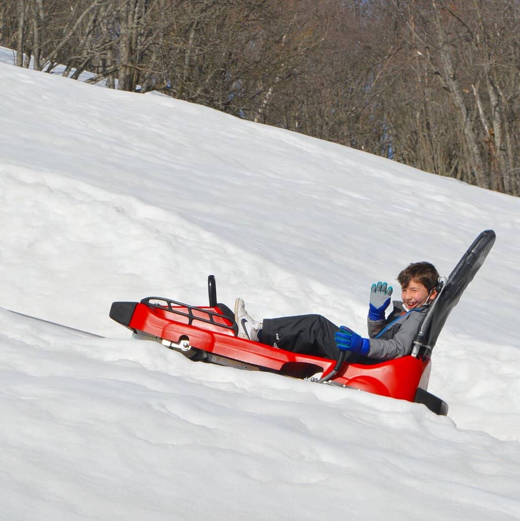 Alpine Coaster Thrills
