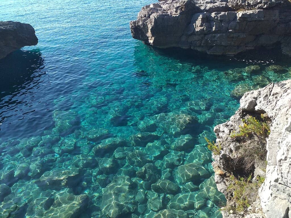 Panoramic Sea Vistas