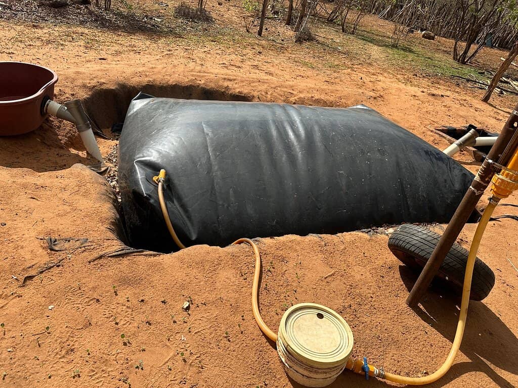 Leya People's History