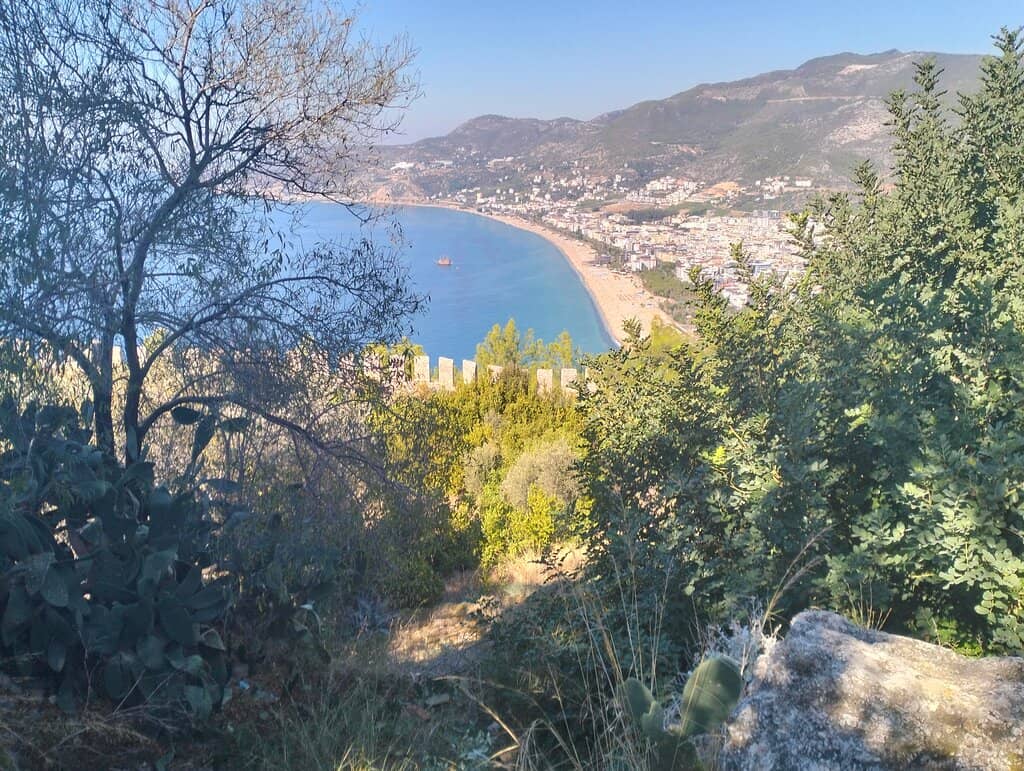 Vertical photo