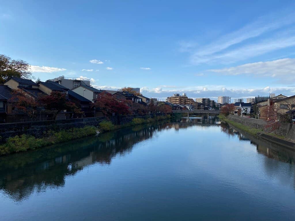 Sakura Riverfront Stroll