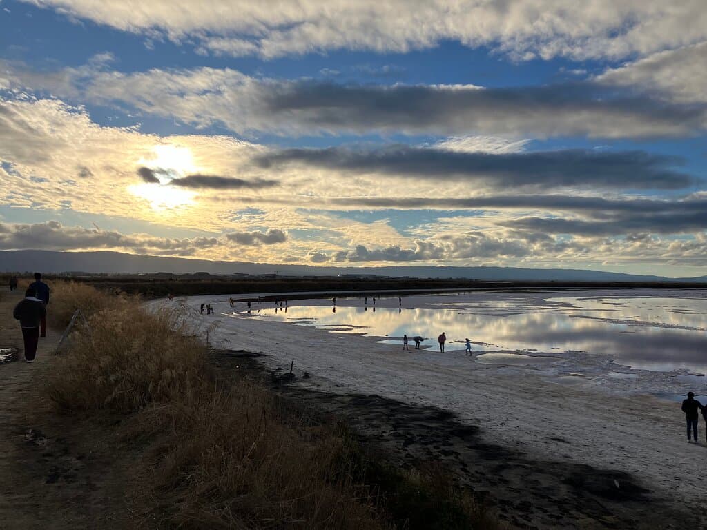 Alviso Marina County Park