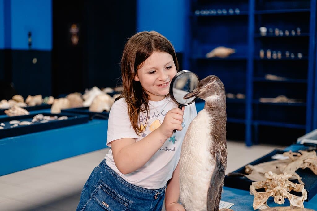 Experiência Sensorial para tocar e sentir as características de diversos animais marinhos como pinguins, tartarugas, tubarões, raias, lobos marinhos, entre outros!