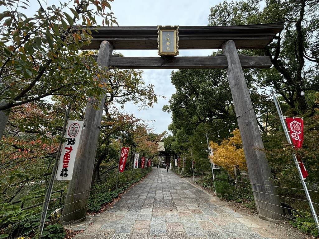 Hydrangea Lined Path
