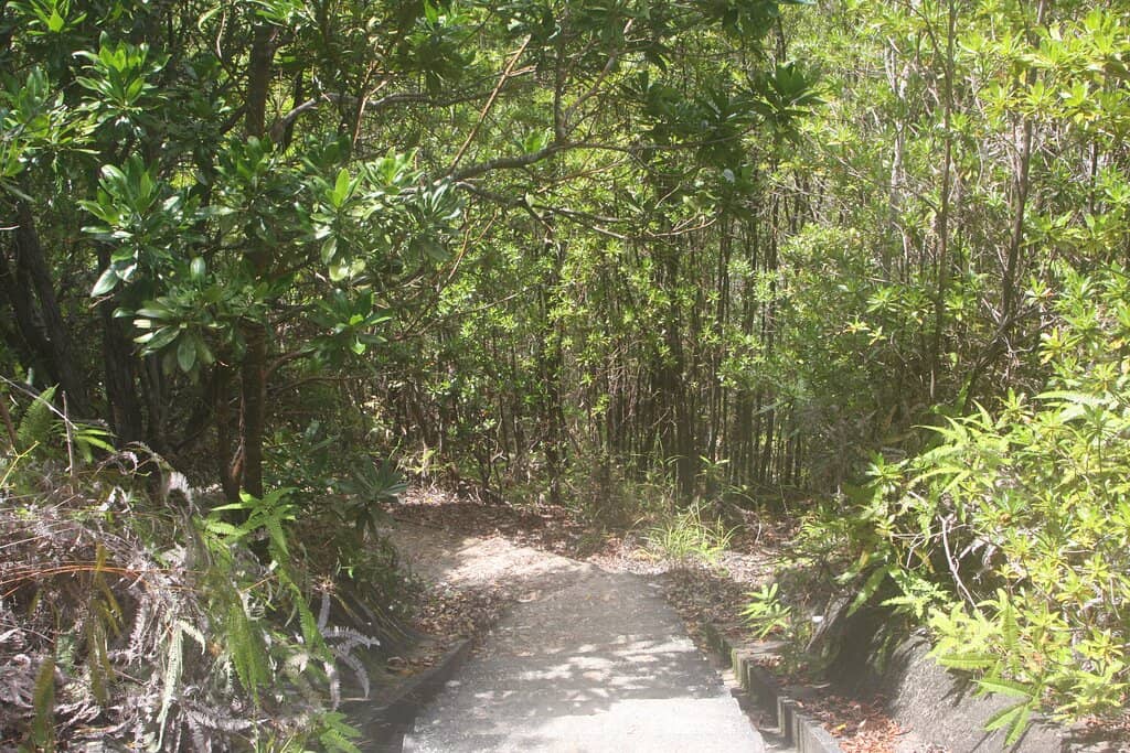 Varied Trail Lengths