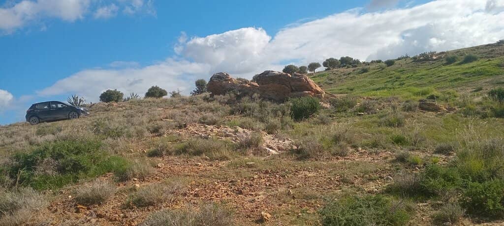 Street Art & Galleries