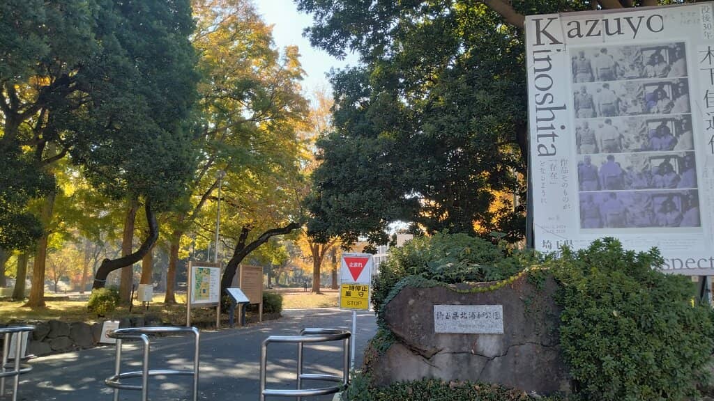 Synchronized Water Show