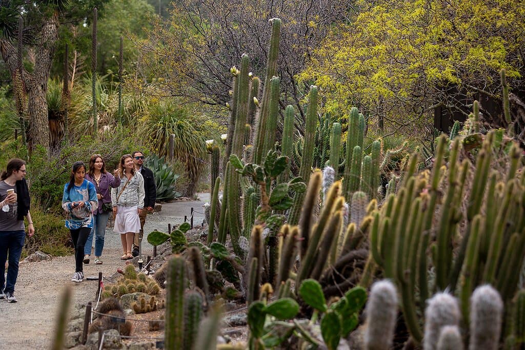 Rain or shine the UC Botanical Garden at Berkeley is a must see destination! Photo credit: Saul Bromberger and Sandra Hoover Photography