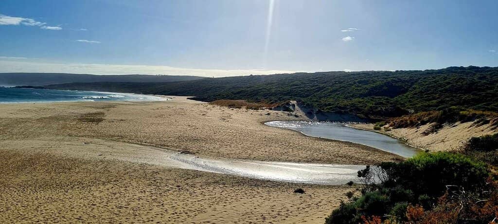 The River Mouth