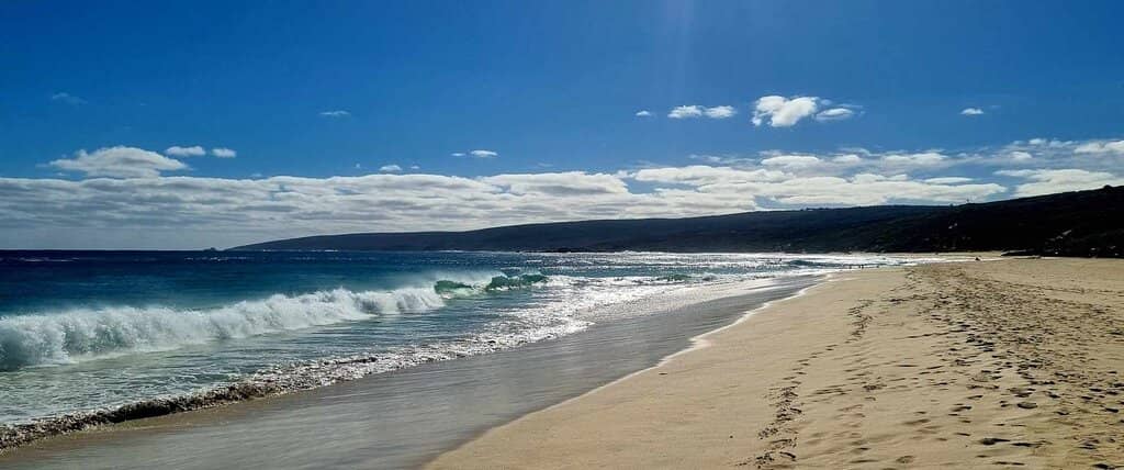 Surfing Paradise