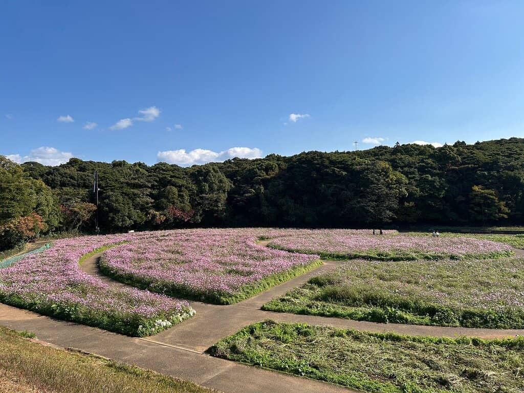 The Last Samurai Filming Location