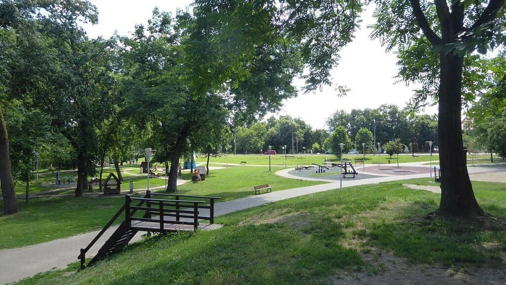 Extensive Playgrounds