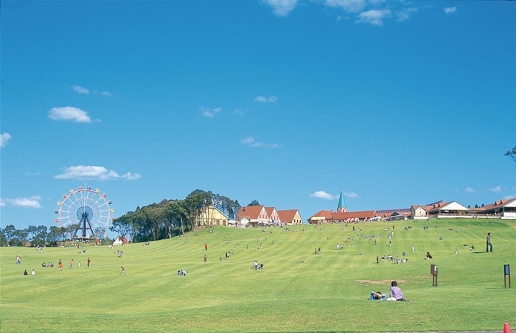 東京ドイツ村の芝生広場