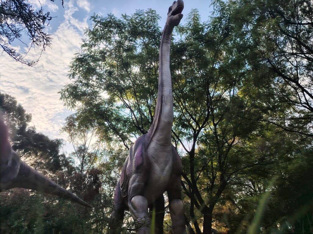 Interactive Educational Fun